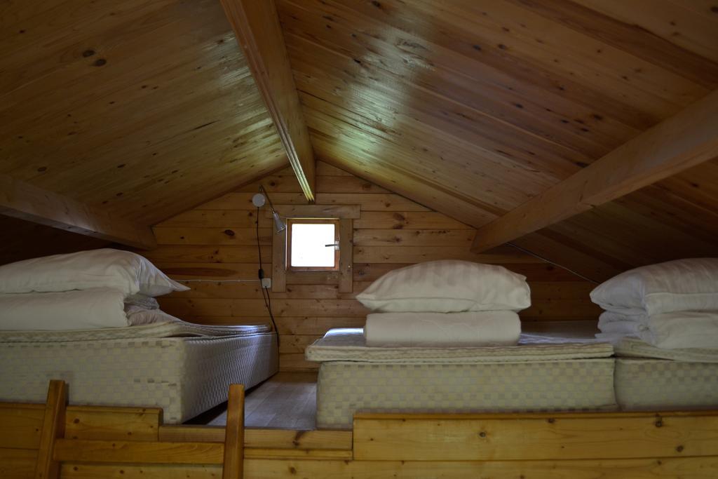 Camping Maennisalu Toila Extérieur photo